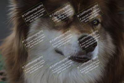 media/Oct-30-2025-Racers Edge (Thu) [[dabbdaf680]]/1-Around the Pits- Track Walk/